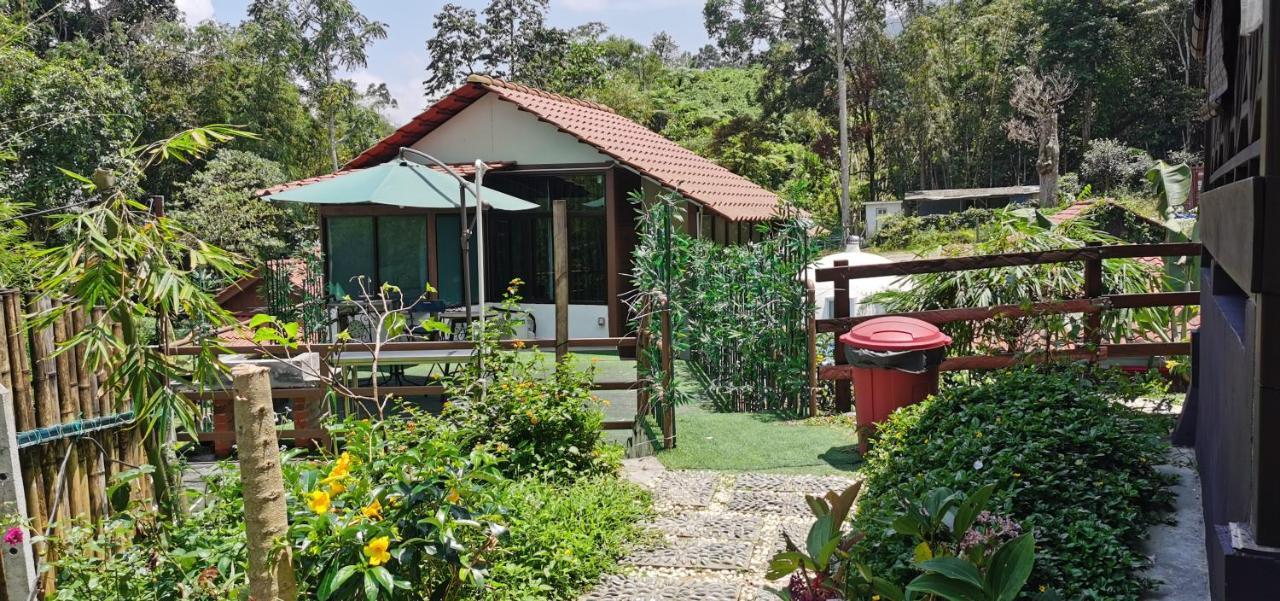 Genting Greenwoods Tiny Houses & Events Hall Гентинг-Хайлендс Номер фото